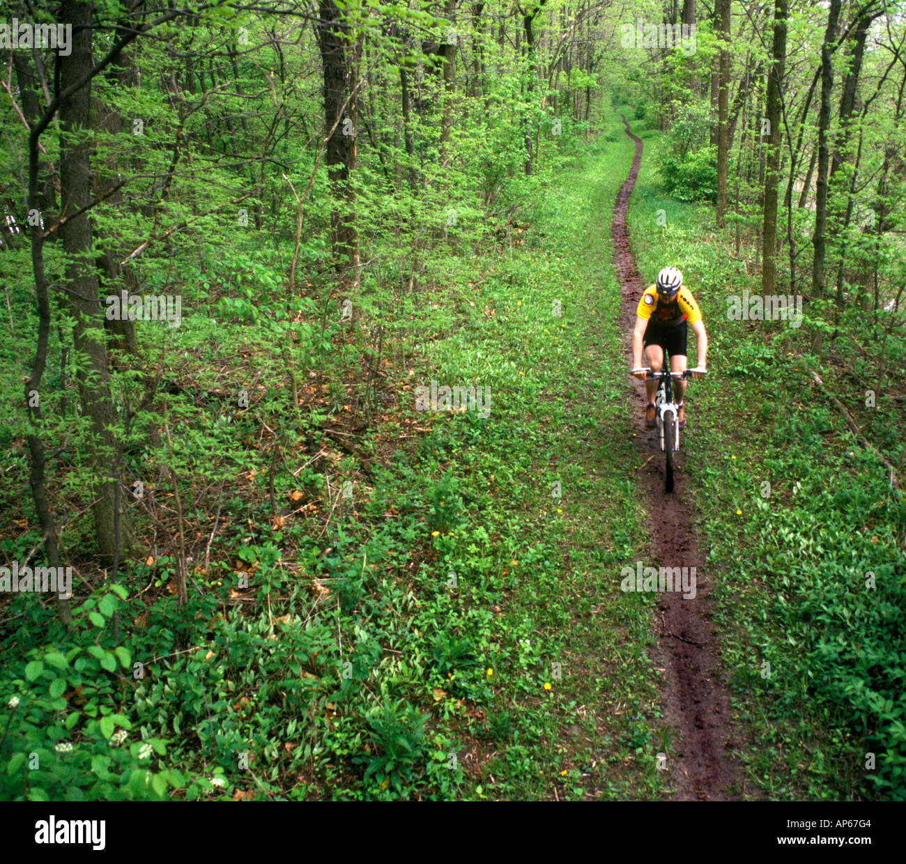 Mountain Biker On The Erie Canal Trail At Defiance Ohio MR Stock Photo mountain-biker-on-the-erie-canal-trail-at-defiance-ohio-mr-stock-photo