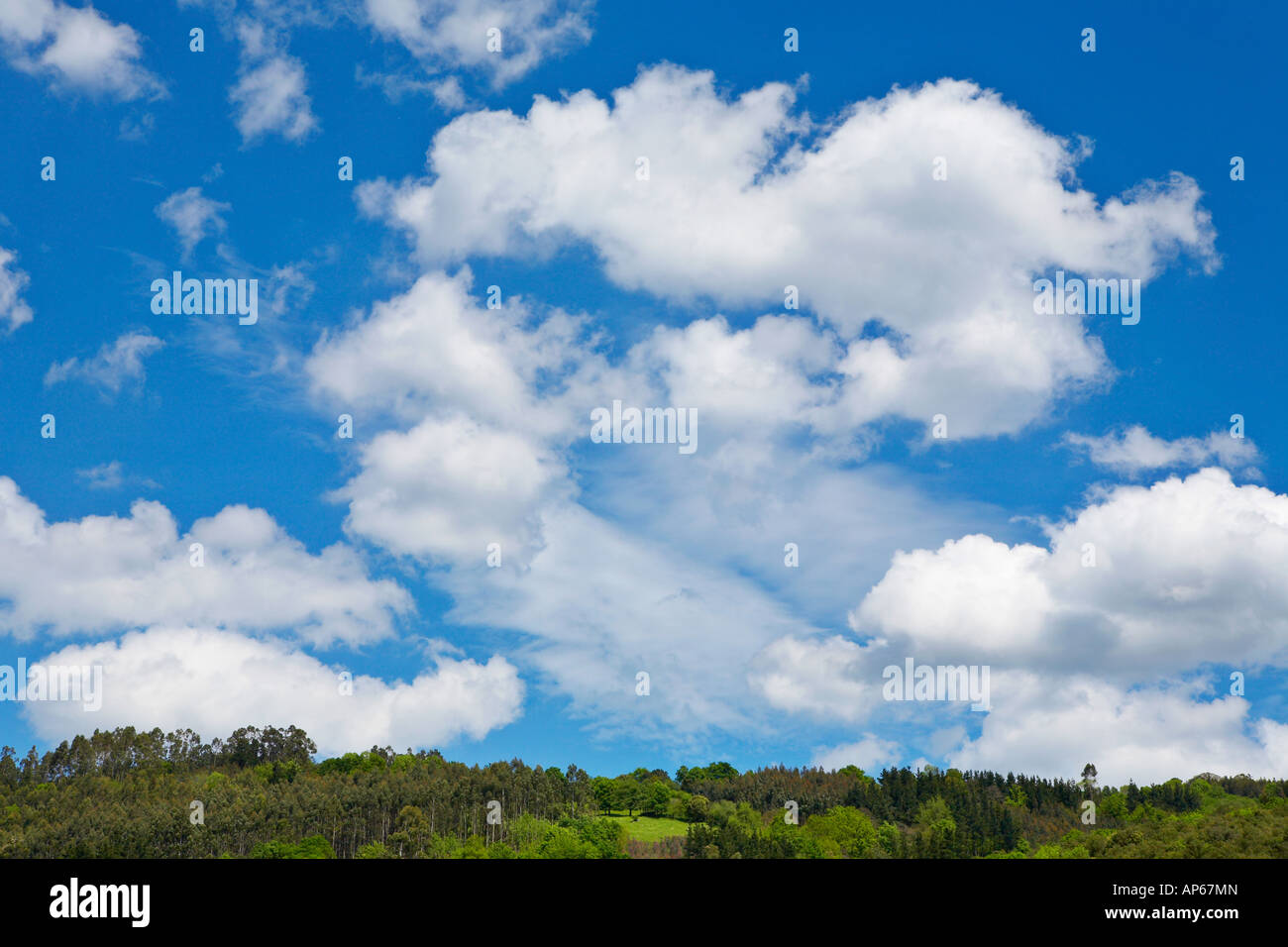 Mountain landscape green filed the blue sky and white clouds Stock ...