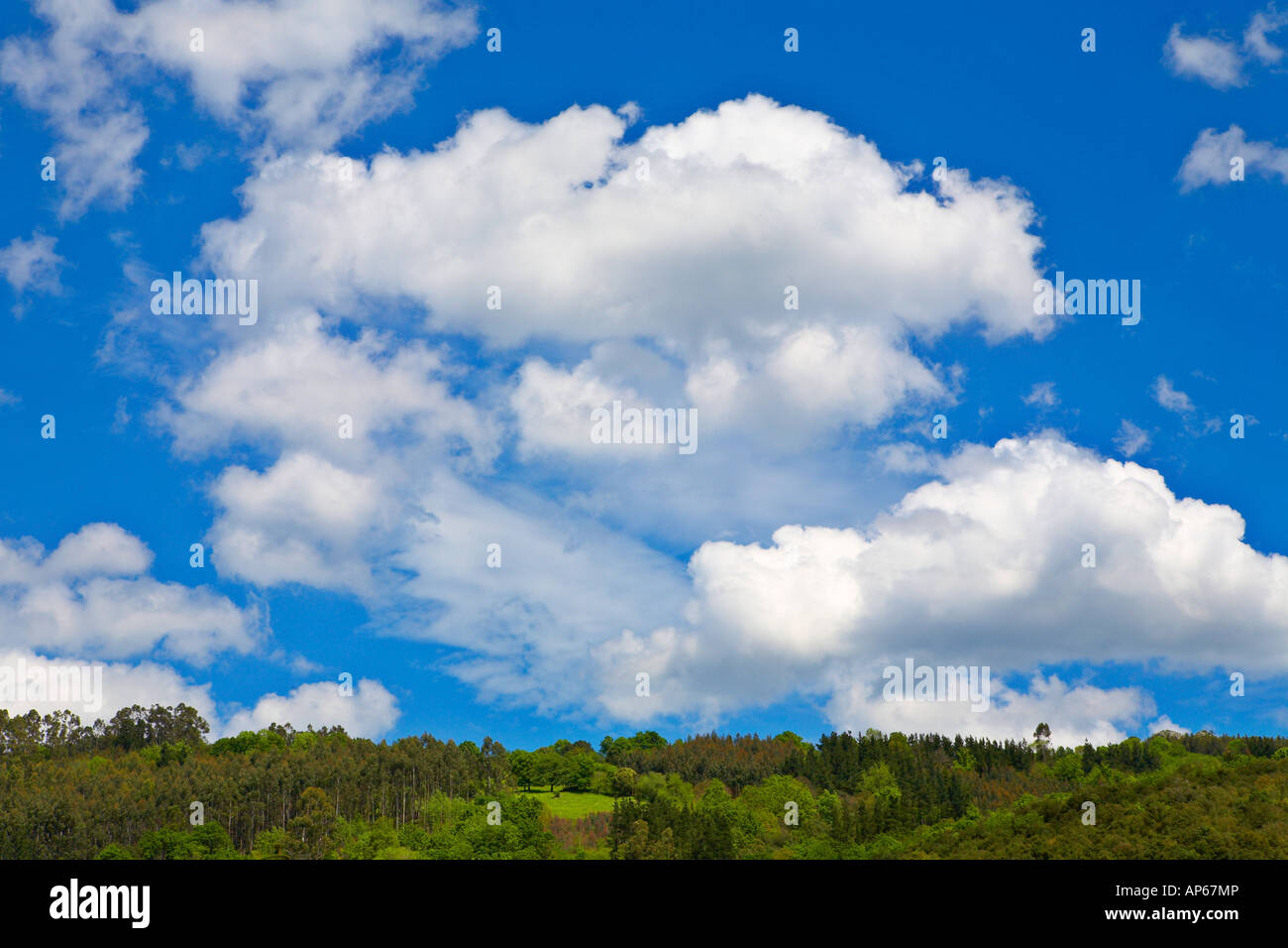 Mountain landscape green filed the blue sky and white clouds Stock ...