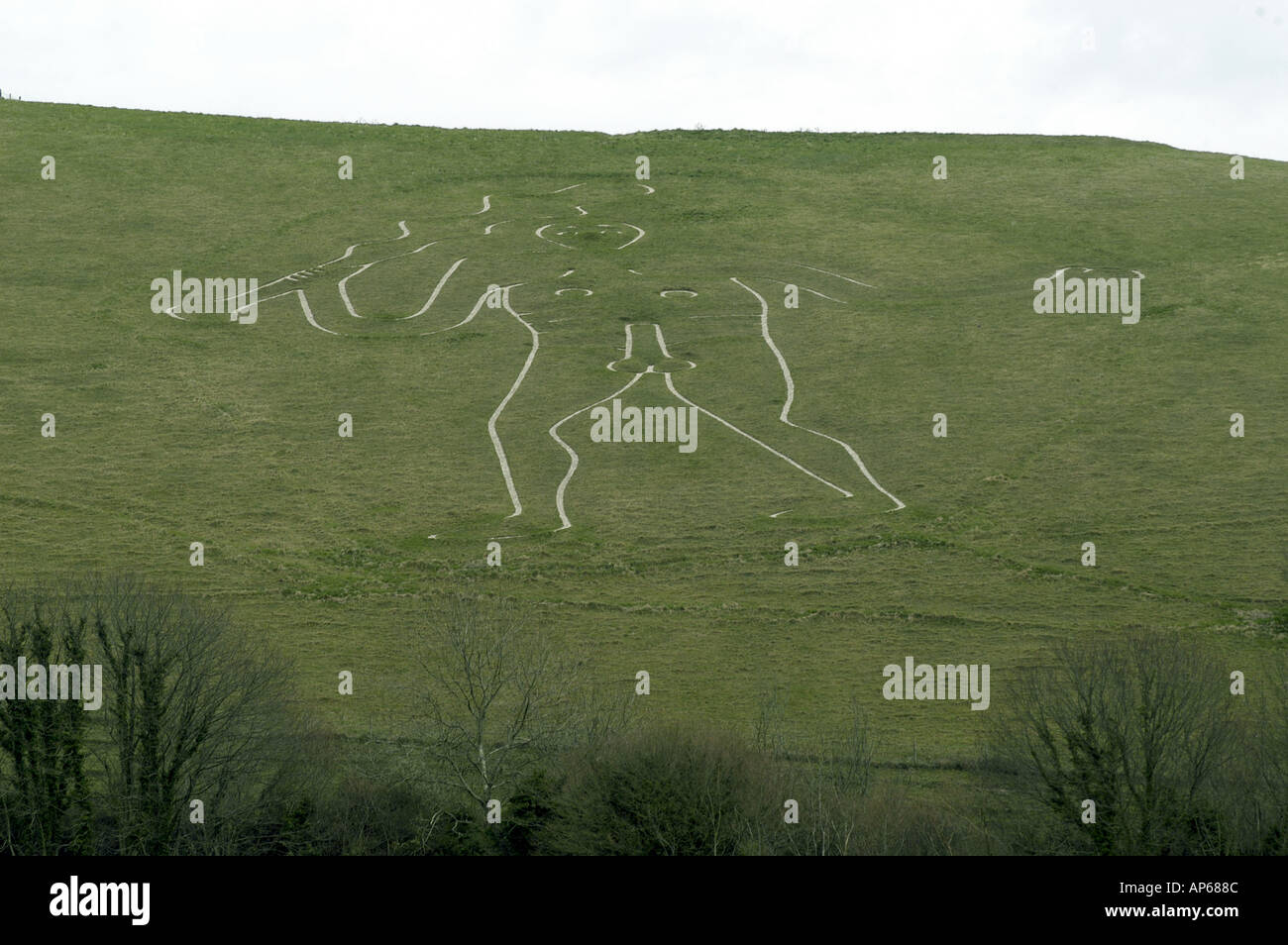The Cerne Abbas Giant in Dorset Stock Photo Alamy