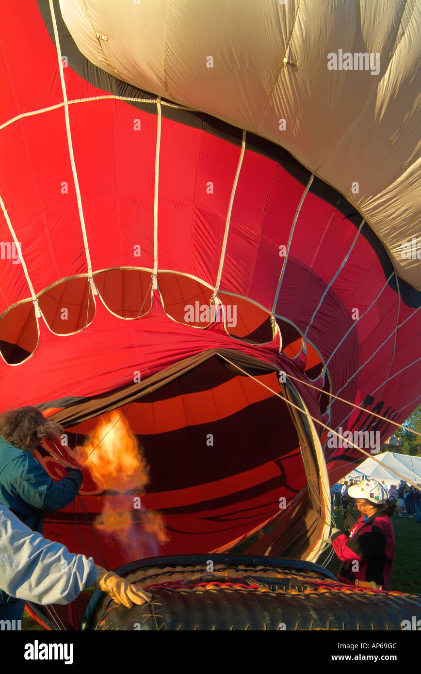 Tiger hot air balloon hotsell