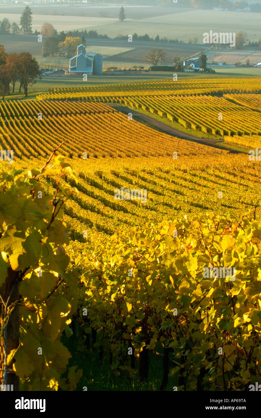 Stoller Winery Stock Photos & Stoller Winery Stock Images - Alamy