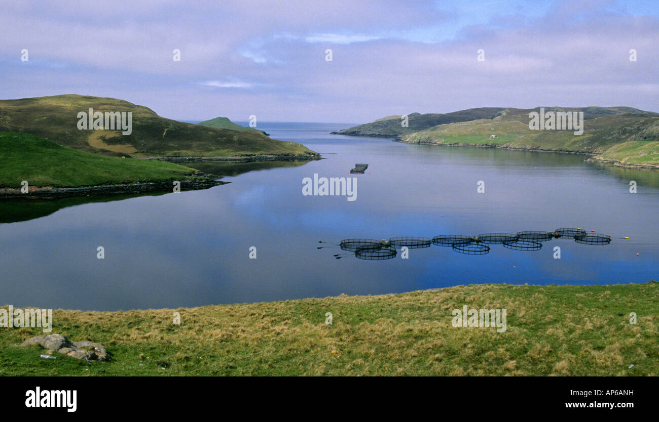 Shetland farming hires stock photography and images Alamy