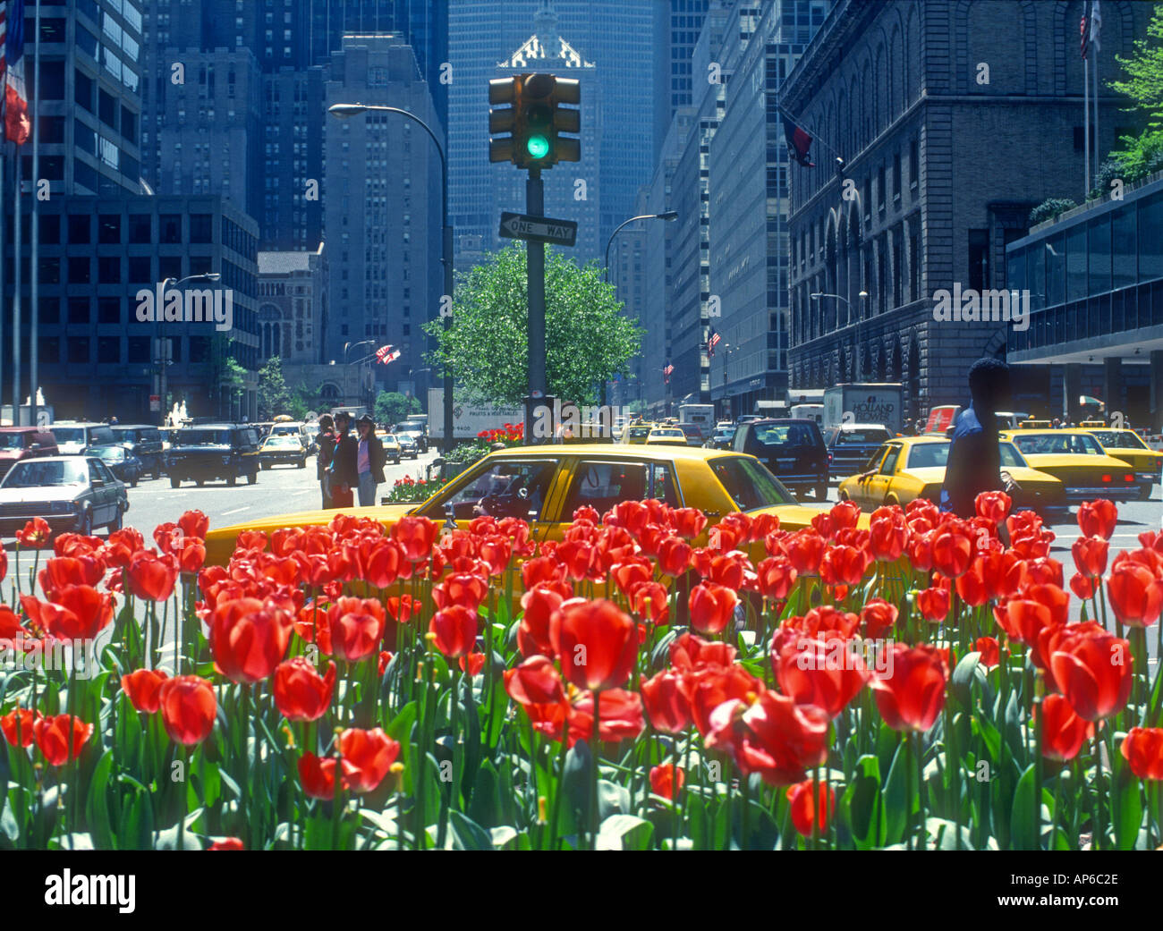 red tulips on Park Avenue in New York City USA Stock Photo 1469485 Alamy