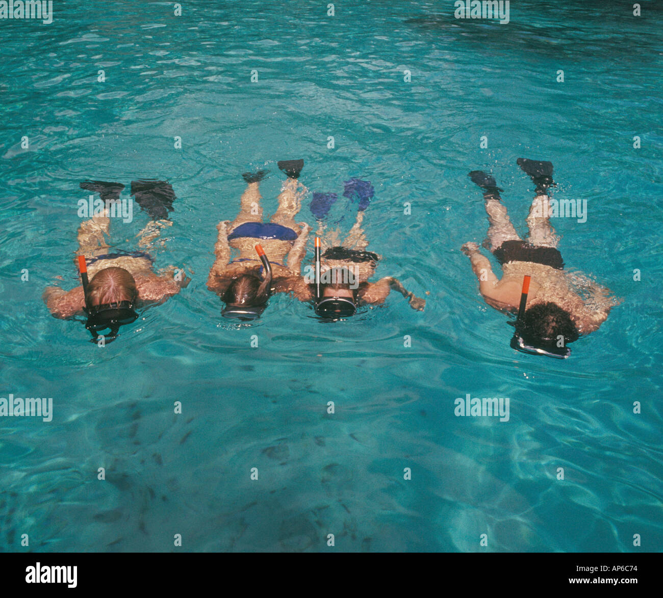 two men two women snorkeling in Caribbean Sea near Jamaica Stock Photo