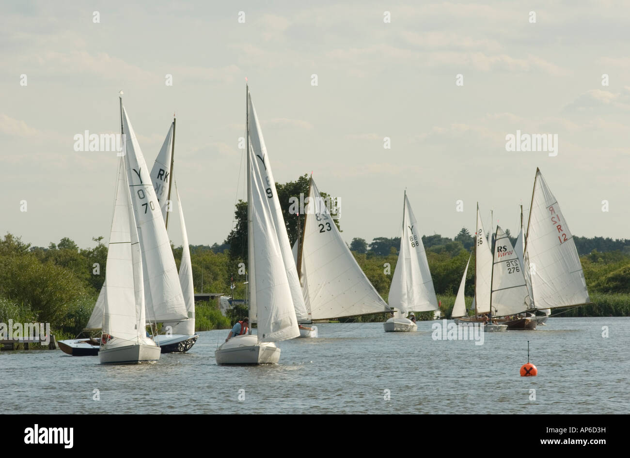 Sailing regatta from Horning sailing club on the Norfolk Broads Stock