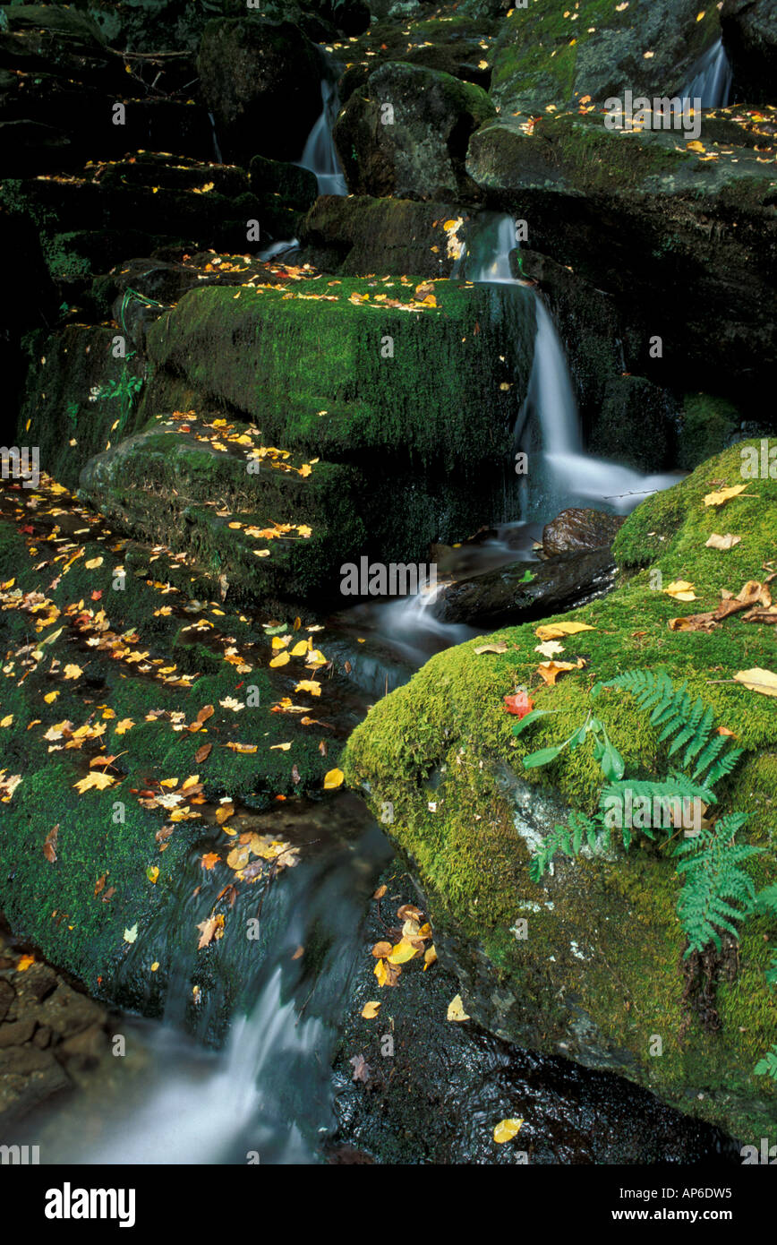 Hancock, VT A waterfall on a tributary of Vermont's New Haven River