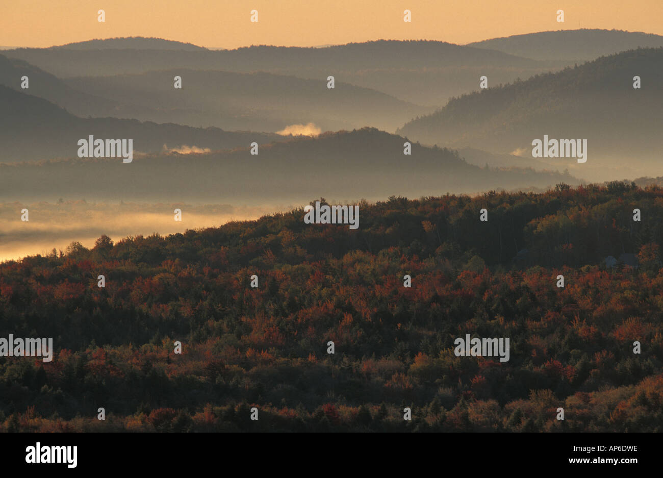 Peru, VT Sunrise in the Green Mountain National Forest. Near Bromley