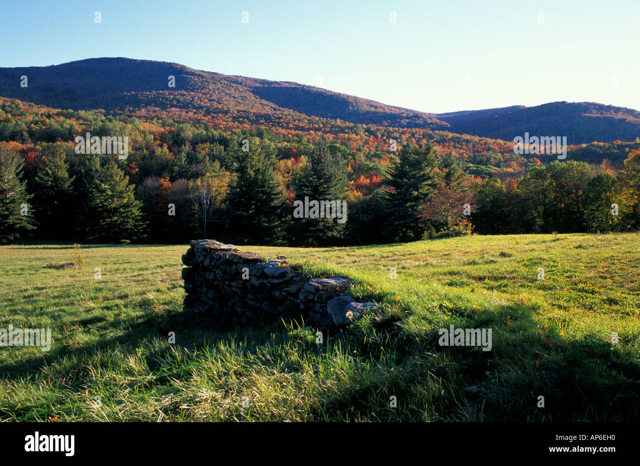 Stone wall new england forest hi-res stock photography and images - Alamy