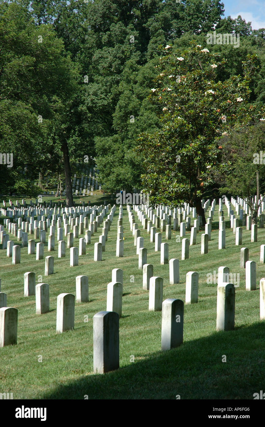 Arlington National Cemetery, Arlington, Virginia Stock Photo Alamy