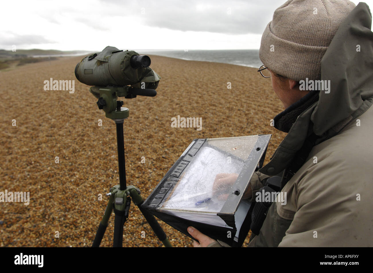 Defra employed ecologist surveying around abbotsbury swannery in Dorset during H5N1 Bird Flu outbreak Stock Photo