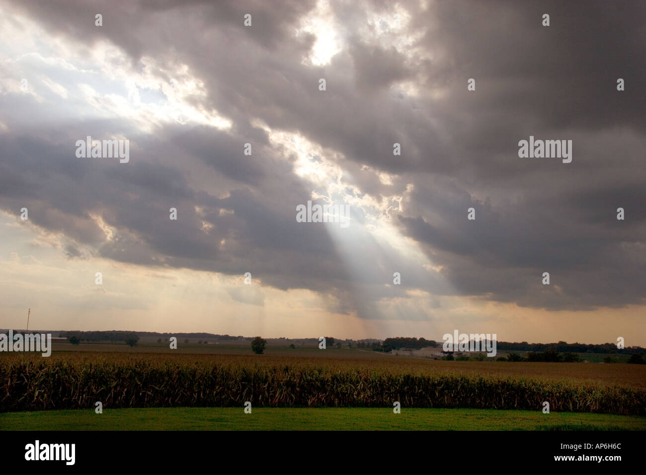 Sun shines through the clouds onto a corn field in Cynthiana Indiana