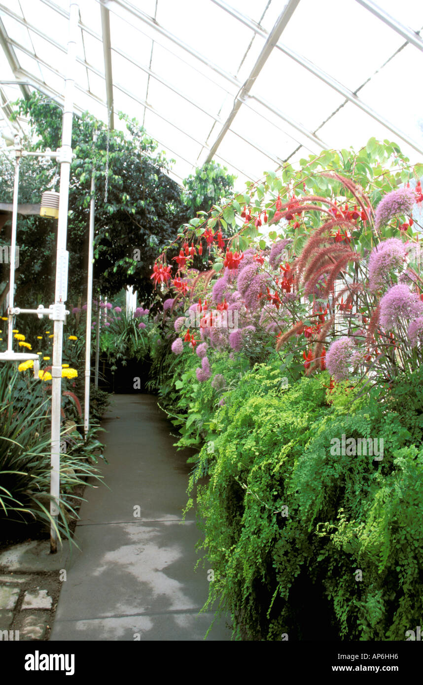 North America, USA, Washington State, Seattle. Flowering plants at