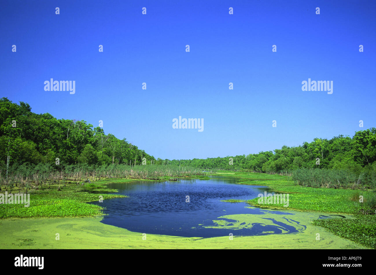 Slidell lousiana hires stock photography and images Alamy