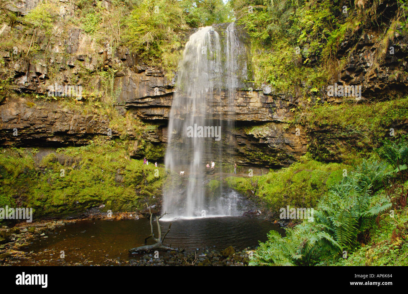 At 30 metres Henrhyd Waterfall is the highest in Brecon Beacons National Park Powys Wales UK tourists stand behind the falls Stock Photo