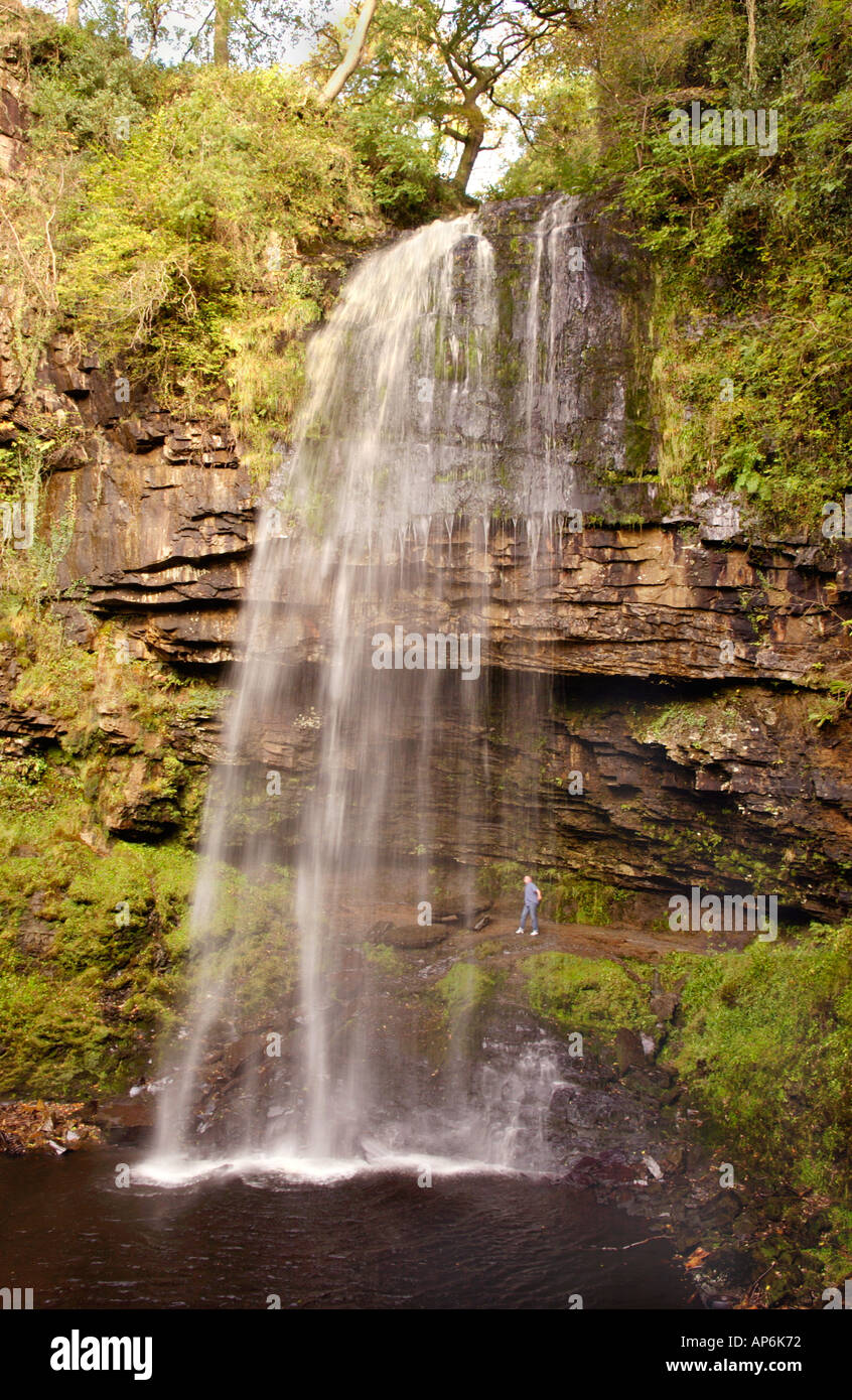 At 30 metres Henrhyd Waterfall is the highest in Brecon Beacons National Park Powys Wales UK Stock Photo