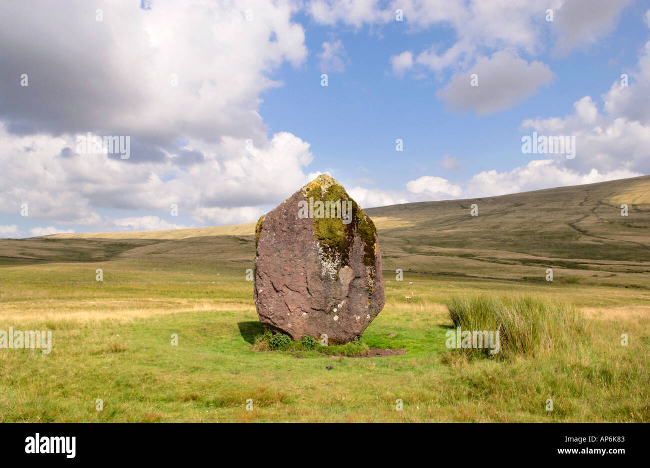 Maen Llia a massive diamond shaped standing stone on isolated open moorland between Ystradfellte and Heol Senni Powys Wales UK Stock Photo