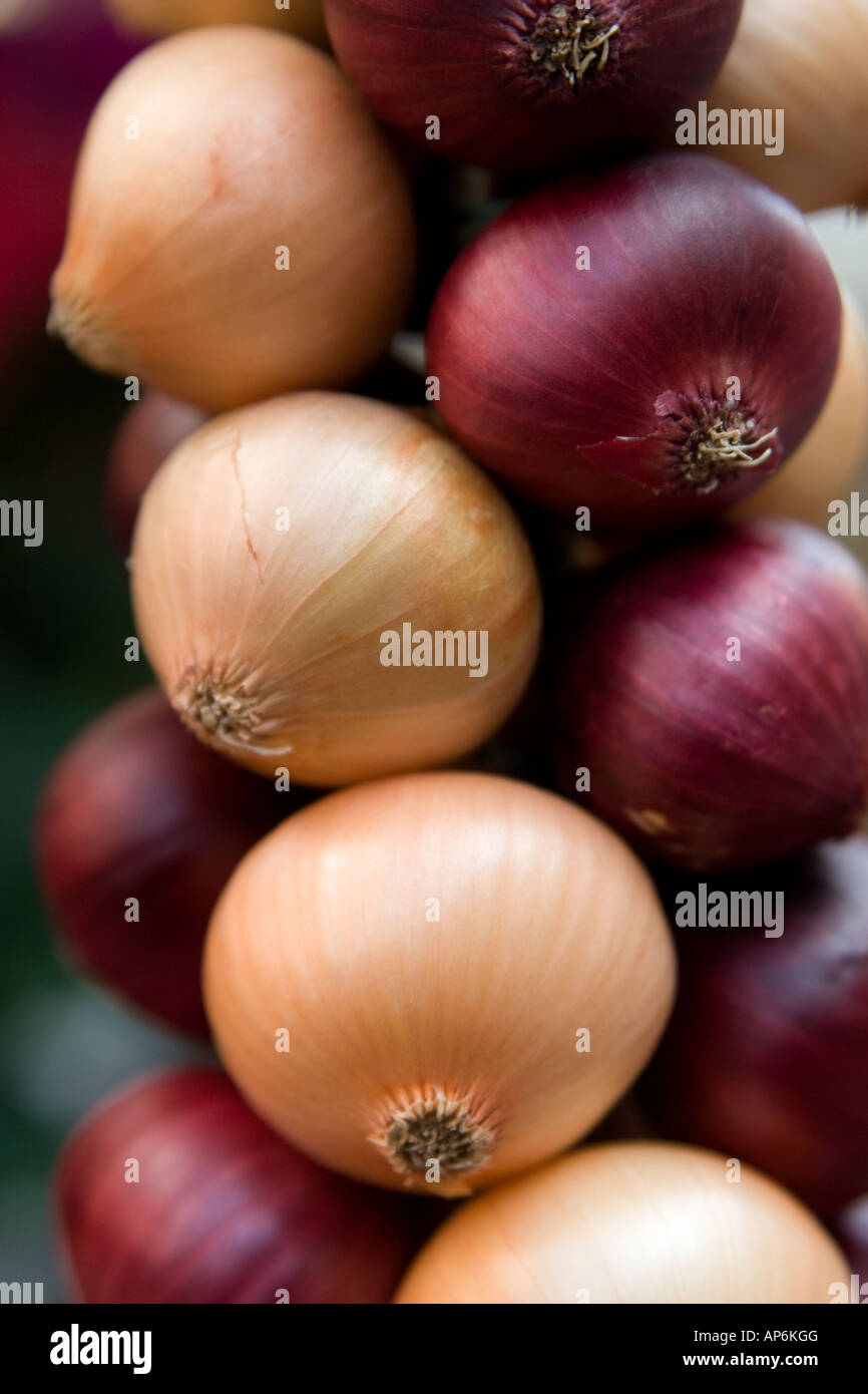 Decoratively woven yellow and red purple onion bulbs Stock Photo