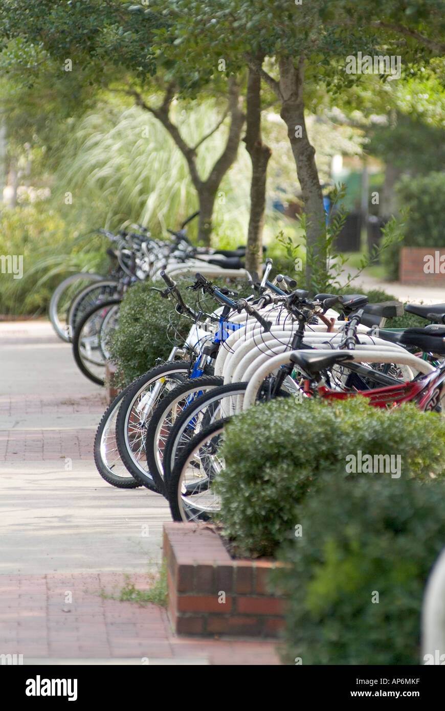University of Florida campus Gainesville FL college school student