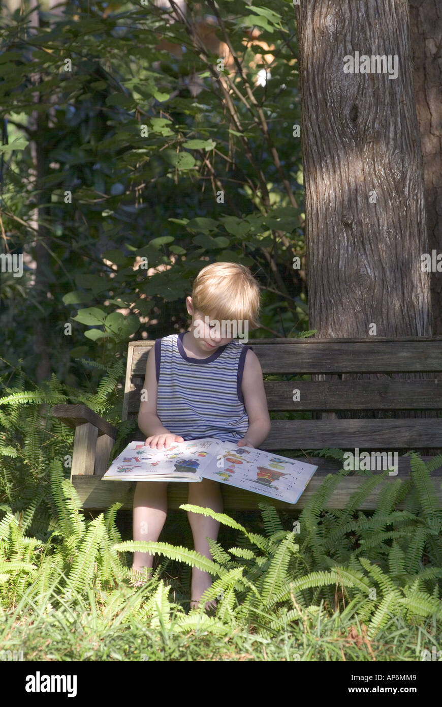 boy reading on wood bench surrounded by ferns under shady tree books