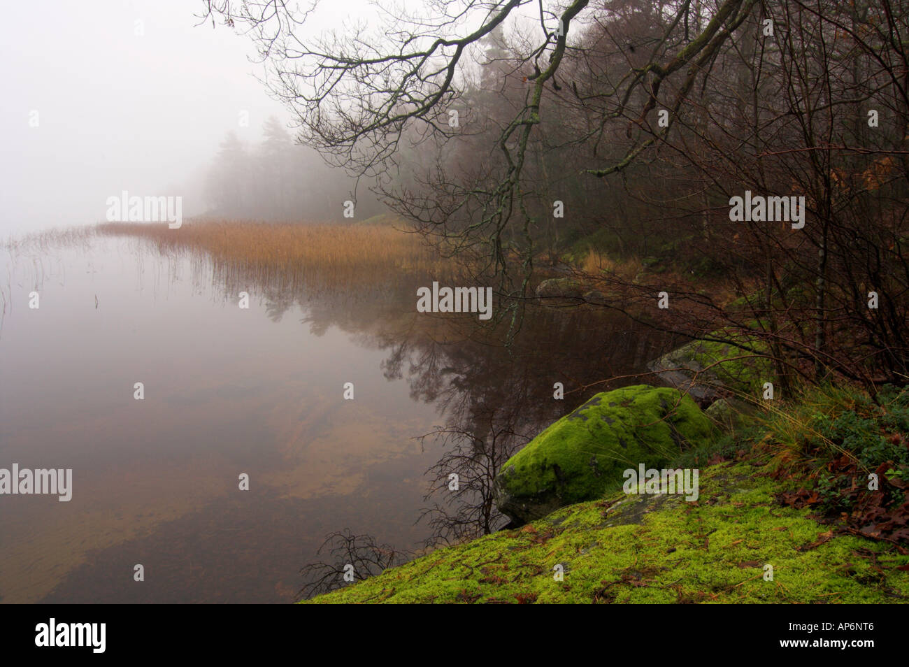 Lake Rådasjön, Västergötland, Sweden Stock Photo