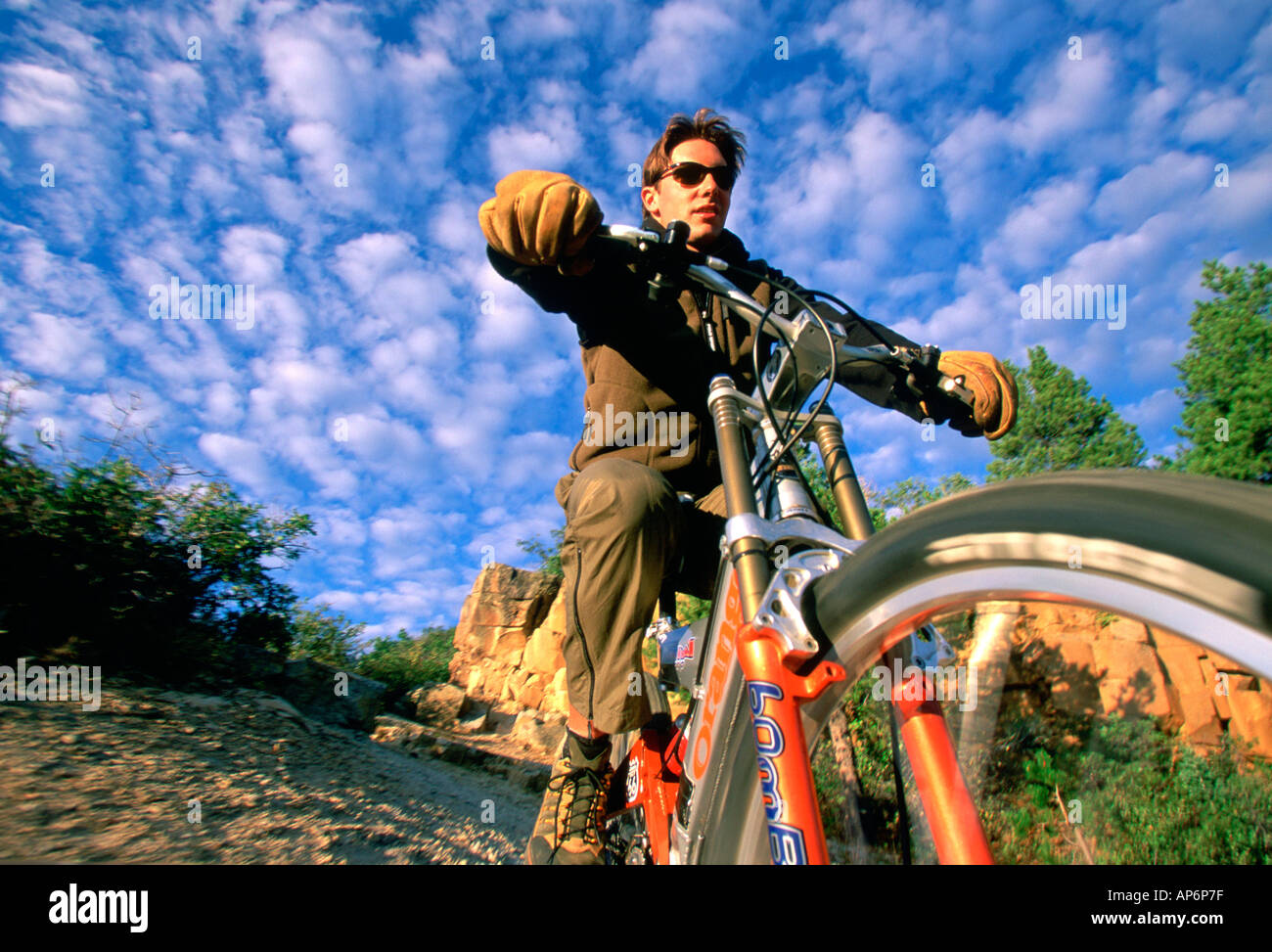 Mountain biker on dirt track, Endurance, Steamboat Springs, Colorado, USA Stock Photo