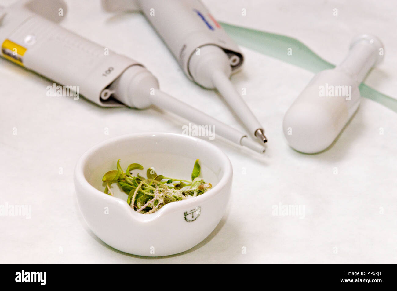 A mortar and pestle and  two micro pipettes Stock Photo