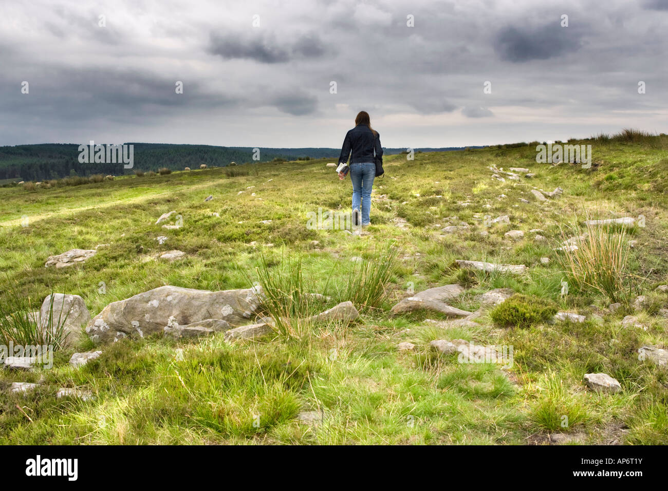 A young woman walking down the remains of Wheeldale Roman Road on Wheeldale Moor in the North York Moors National Park, UK Stock Photo