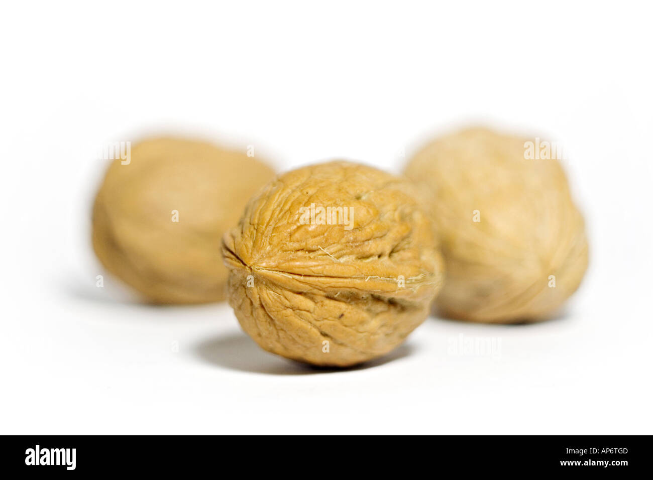 walnuts on a white background Stock Photo