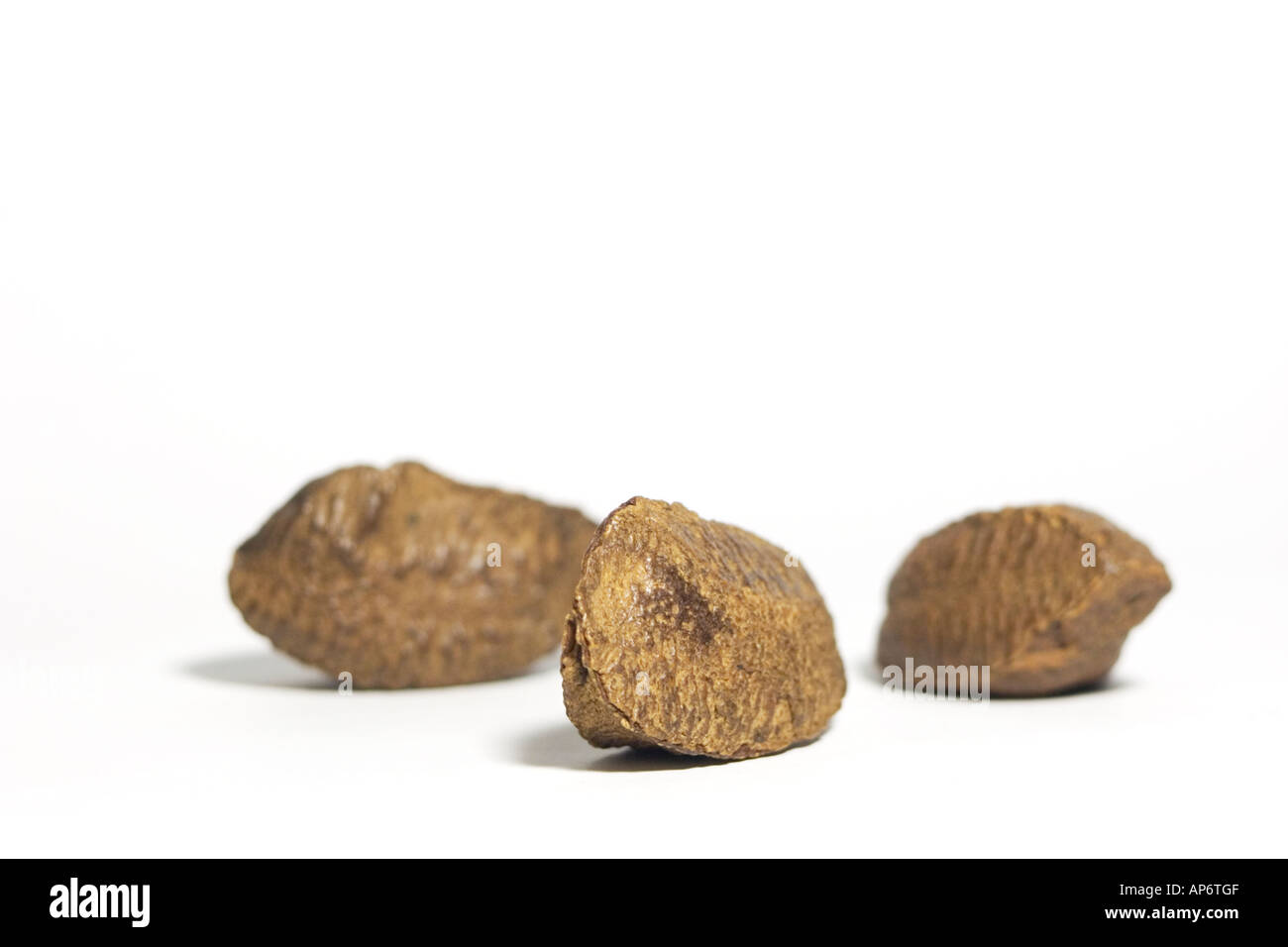 brazil nuts on a white background Stock Photo