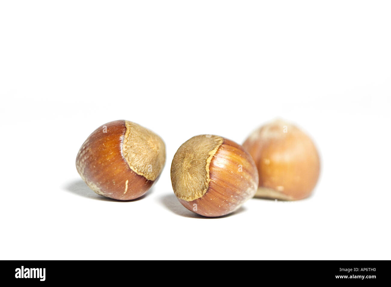 macadamia nuts on a white background Stock Photo