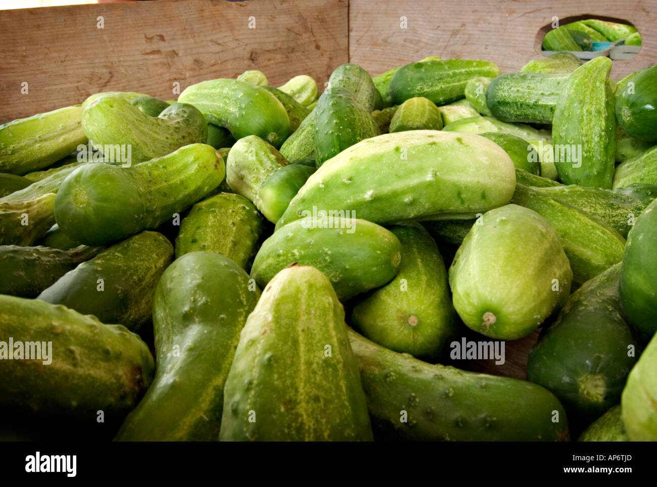 bin of cucumbers Stock Photo