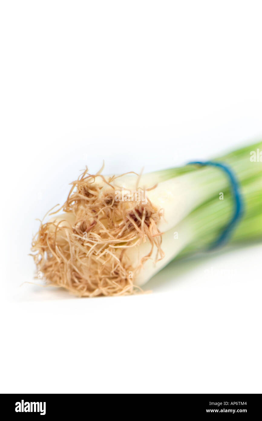 scallionsgreen onions on white background Stock Photo