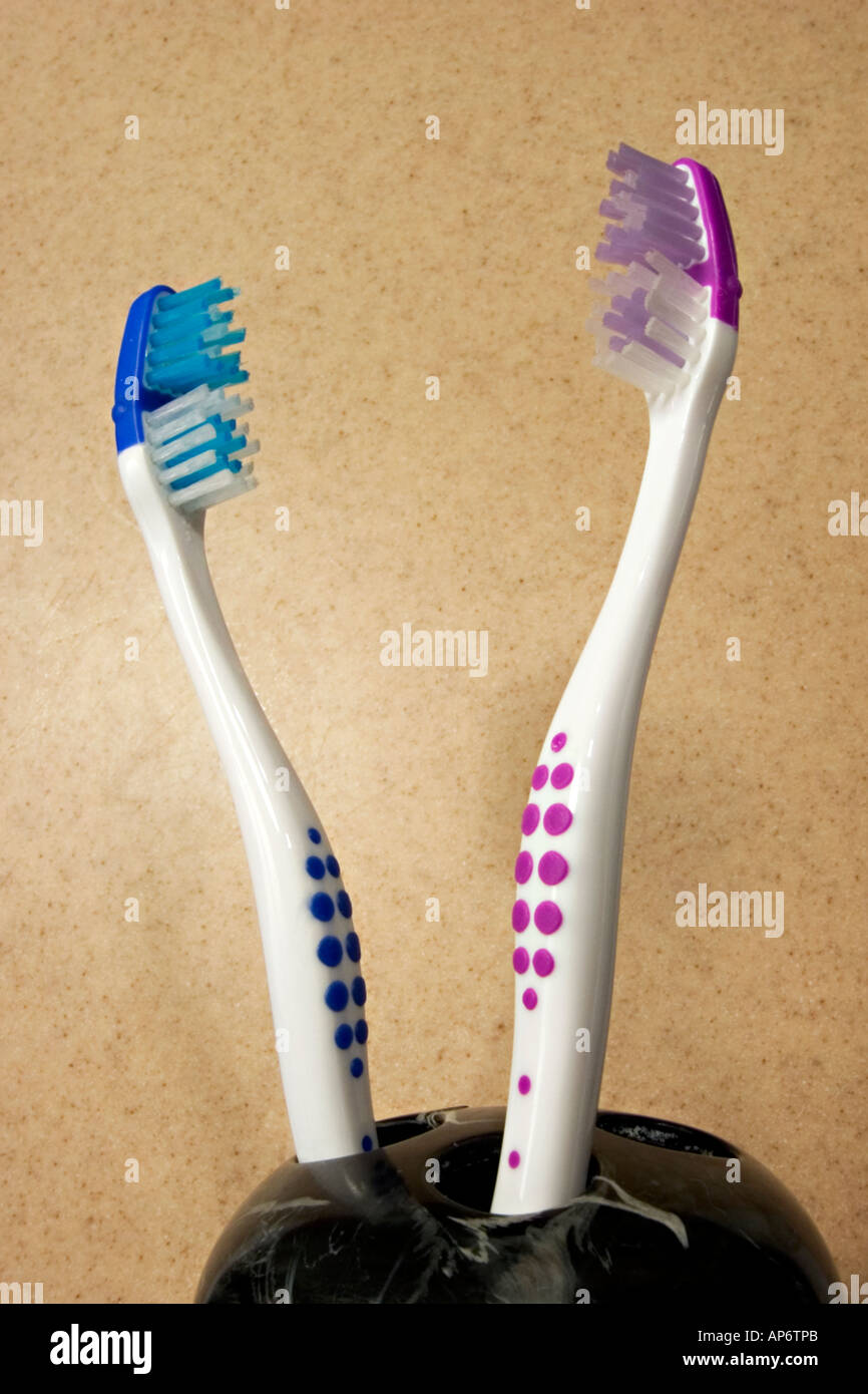 two toothbrushes in a holder Stock Photo