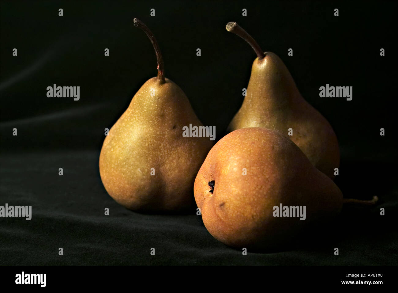 three bosc pears in warm evening light Stock Photo