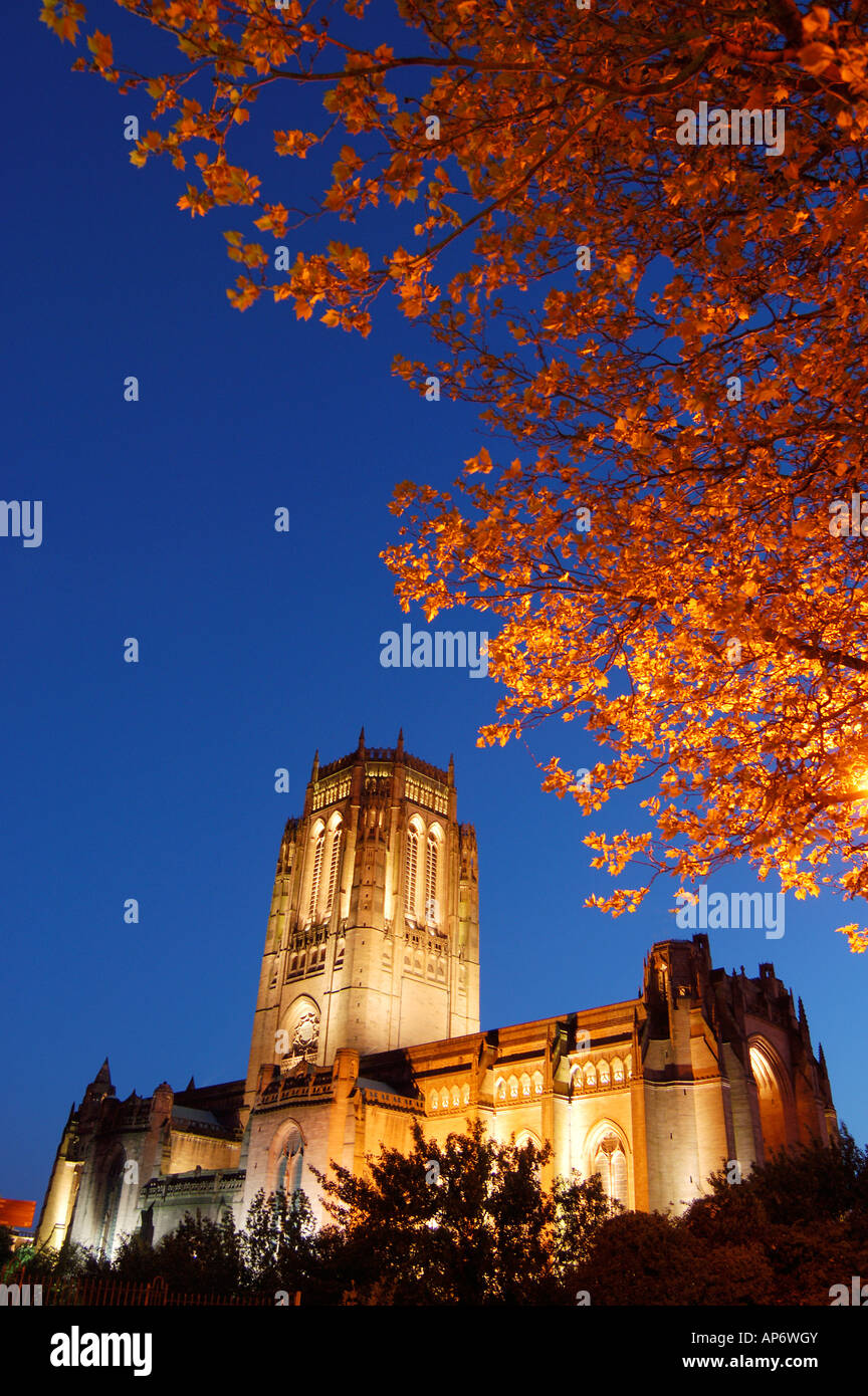 Night image of  the imposing Liverpool Anglican Cathedral with autumnal trees in the foreground Stock Photo