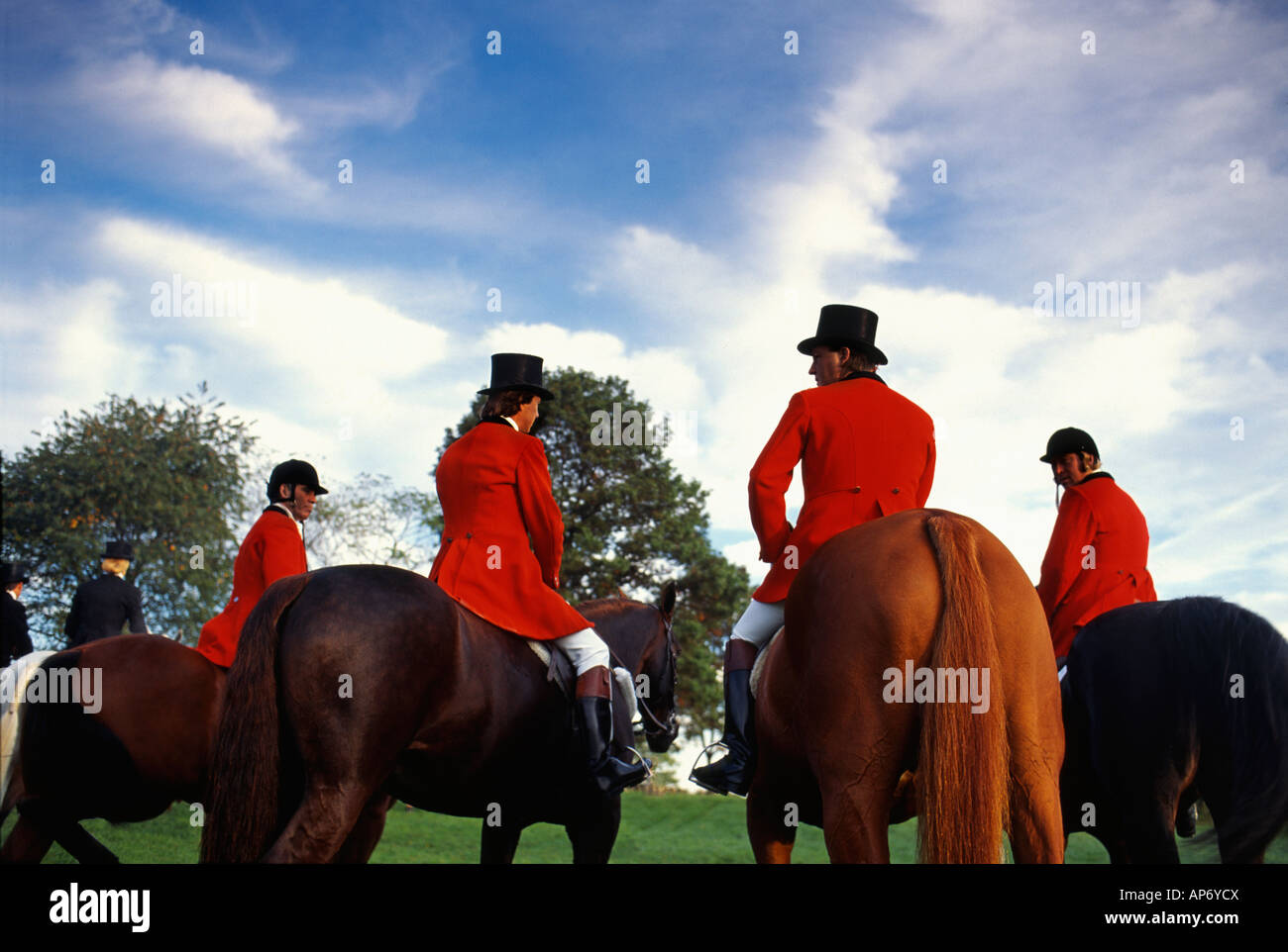 Fox hunt Stock Photo