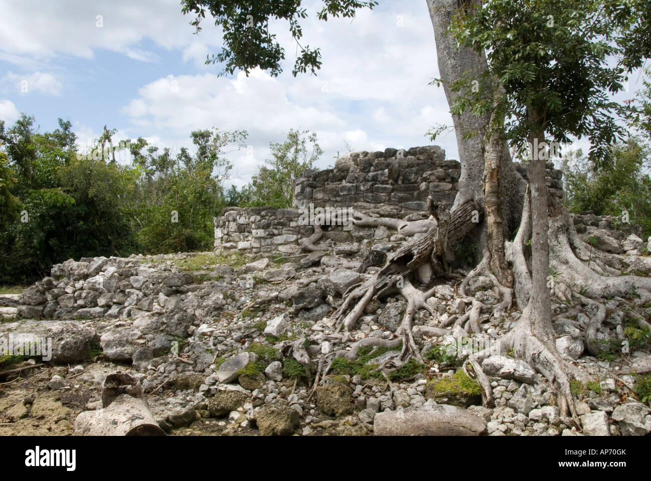 San gervasio maya ruins cozumel island hires stock photography and