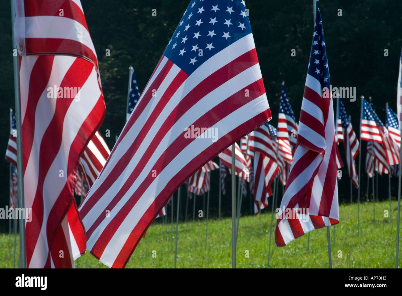 Flags flying in honor of the 9 11 2001 victims of the terrorist attack on the United States.  Located in Kennesaw, Georgia, USA Stock Photo
