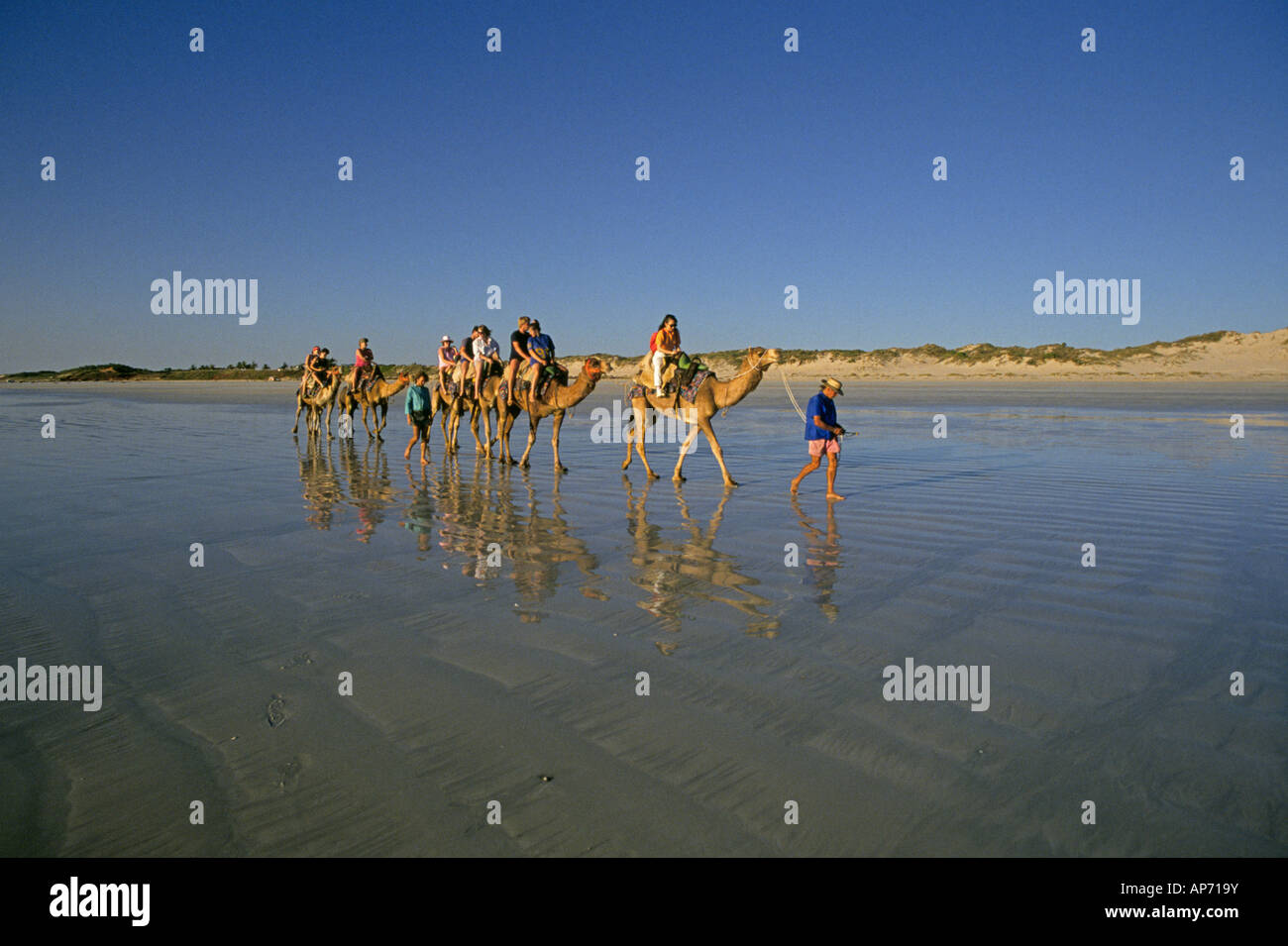 Visitors take a camel trek along the beach near the Western Australia town of Broome Stock Photo