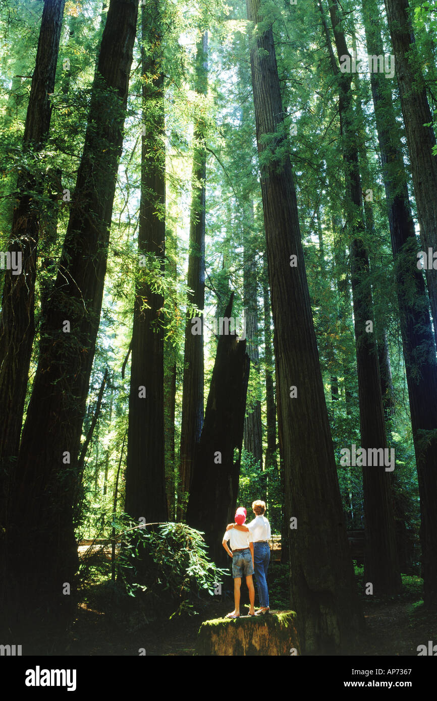 Mother and son standing under tallest trees in the world in California Stock Photo