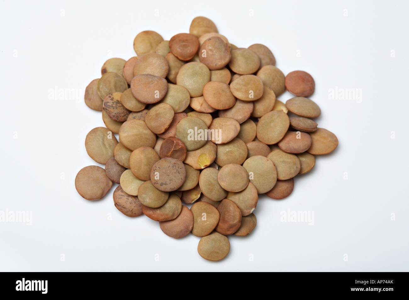 Lentil Stock Photo