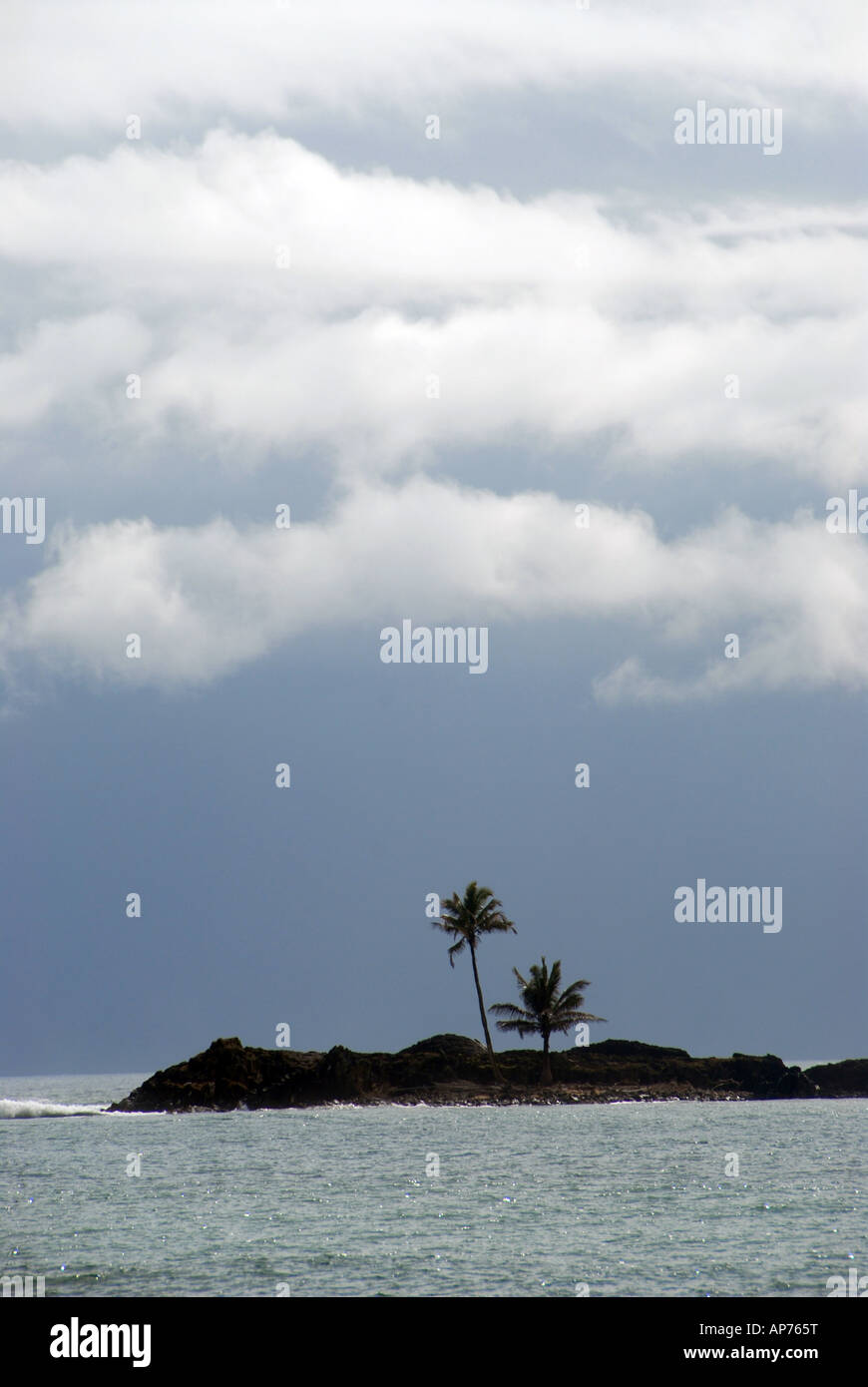 Palm trees on an island, Vlatomandry, Eastern Madagascar Stock Photo