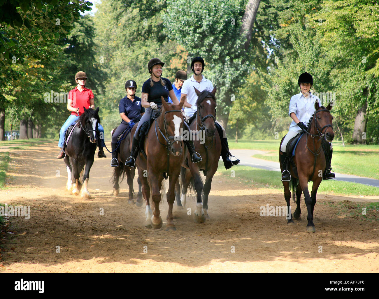 Horse Riding in Hyde Park Stock Photo Alamy