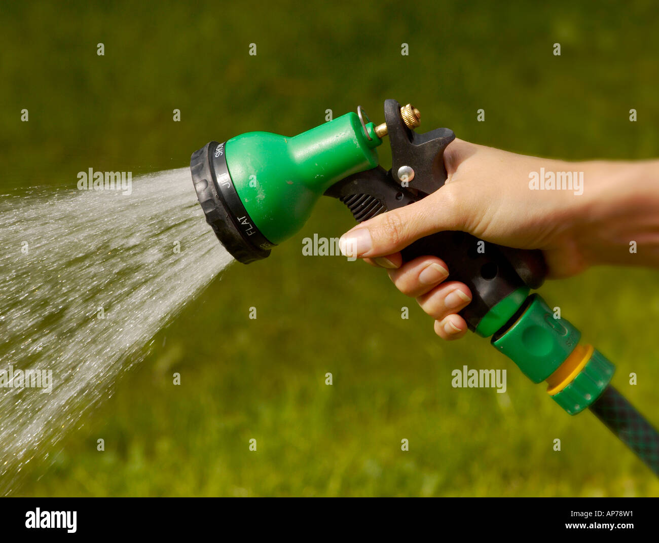 Female hand holding a hosepipe spray gun, watering a lawn on a hot