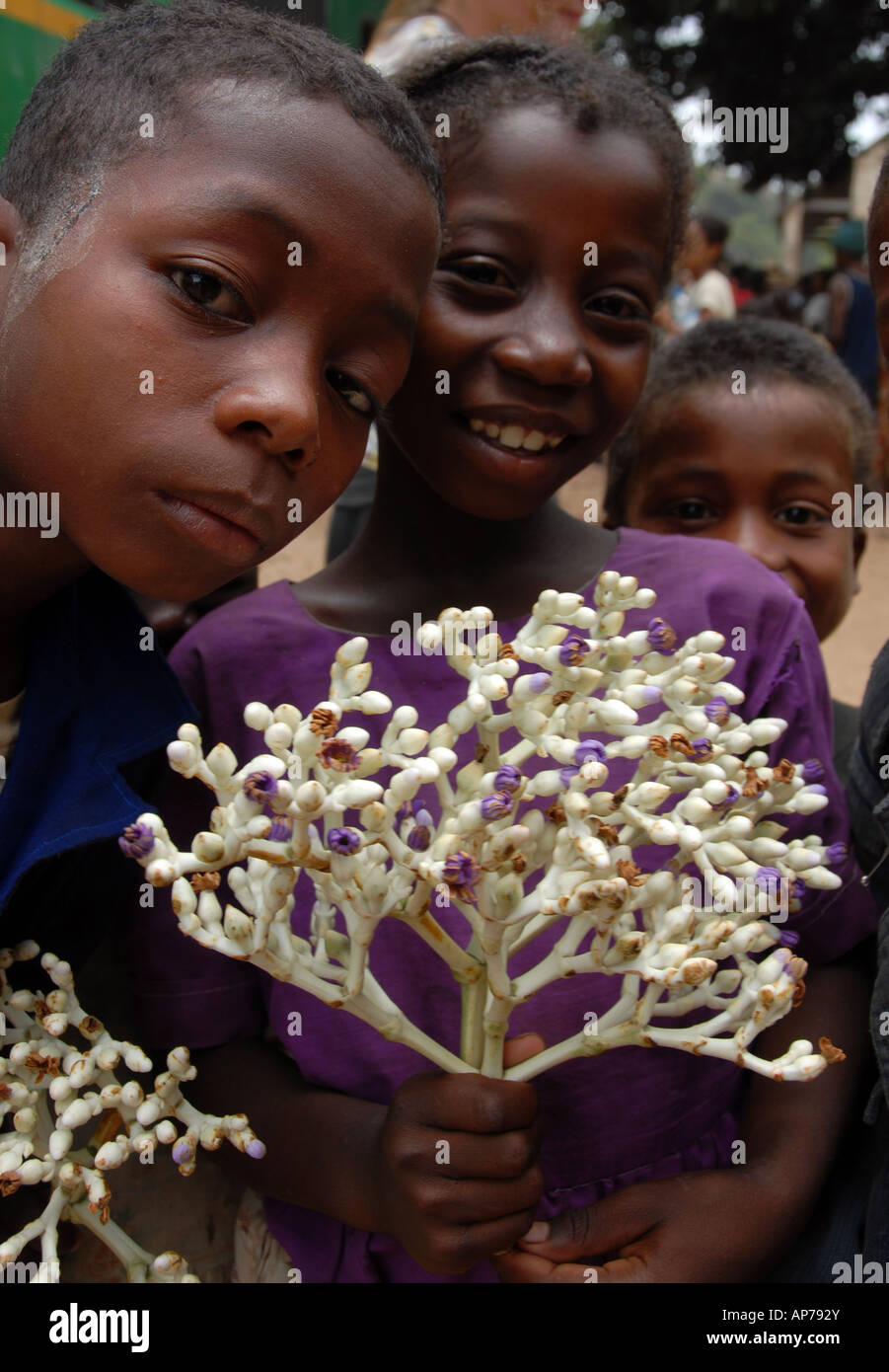 Children selling decorative plants, Near Fianarantsoa, Madagascar Stock Photo