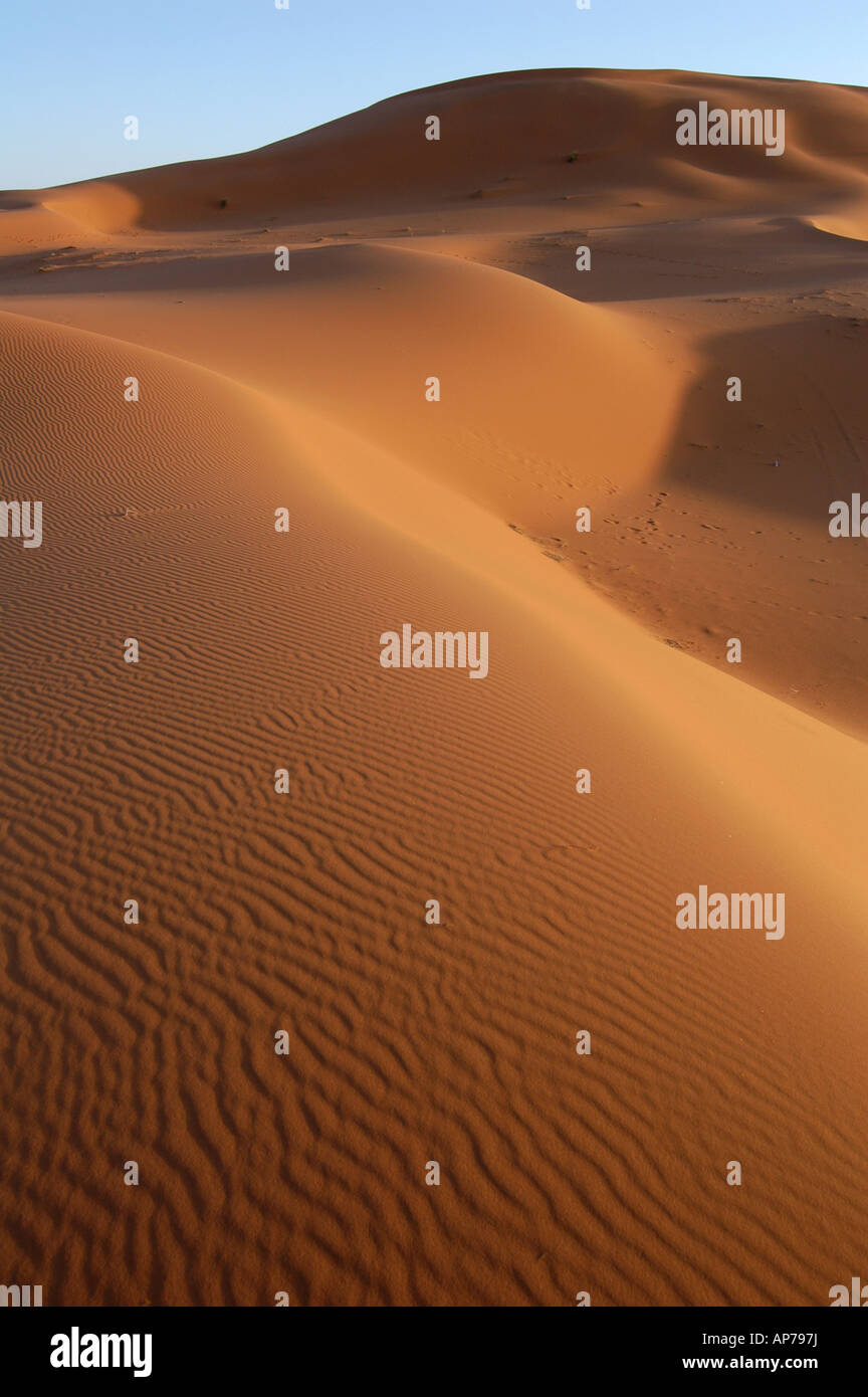 Sand dunes of Erg Chebbi in the Sahara Desert, Morocco Stock Photo - Alamy