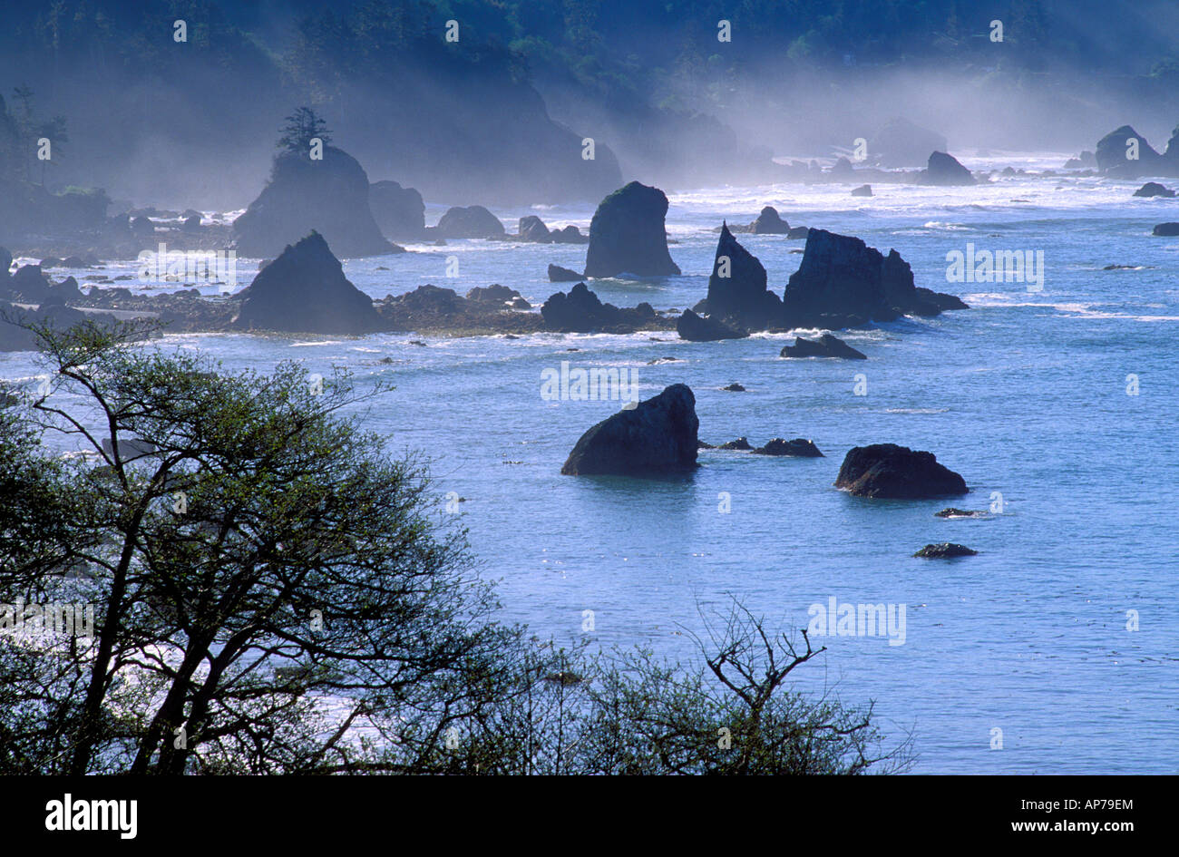 Sea stacks and mist near Trinidad Humboldt County California Stock ...