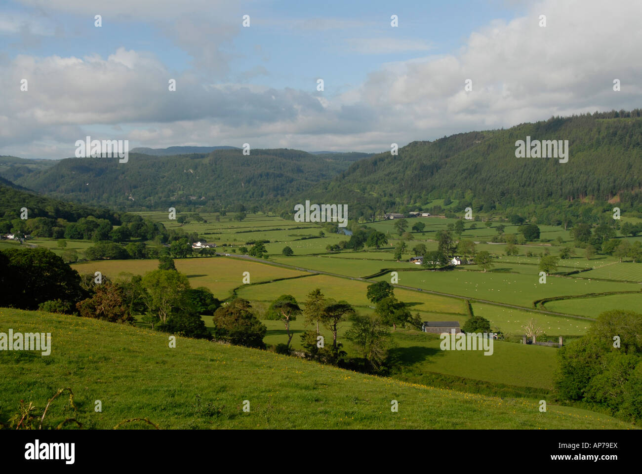 Conwy Valley near Llanrwst Stock Photo