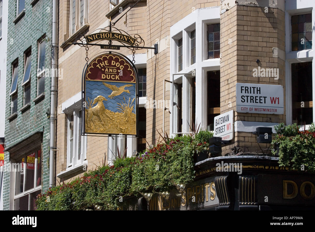 The Dog and Duck Public House Soho London Stock Photo Alamy